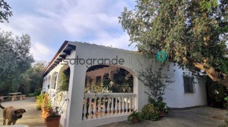 Cádiz - San Roque - 28000m2