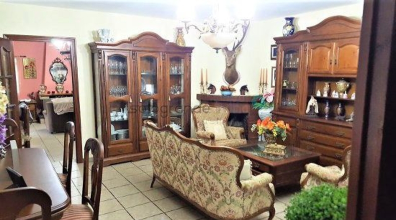 Cádiz - San Roque - 28000m2