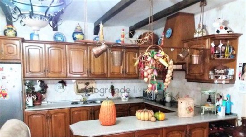 Cádiz - San Roque - 28000m2