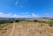 Finca rústica en venda a San Martín del Tesorillo ref.: TR385280 foto