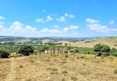 Finca rústica en venda a San Martín del Tesorillo ref.: TR385280 foto