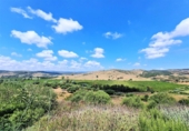 Finca rústica en venda a San Martín del Tesorillo ref.: TR385280 foto