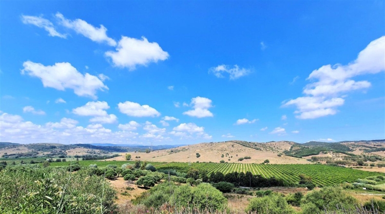 Кадис - San Martín del Tesorillo - 170000m2
