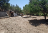 Terreny no urbanitzable en venda a San Martín del Tesorillo ref.: TR385521 foto