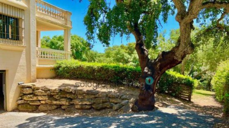 Cádiz - San Roque - 2085m2