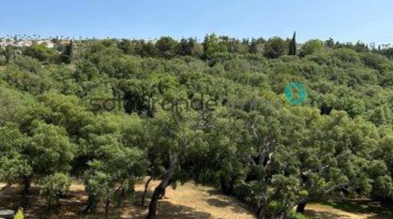 Cádiz - San Roque - 2085m2