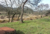 Casa de camp amb terreny en venda a Valdepeñas ref.: TR385688 foto