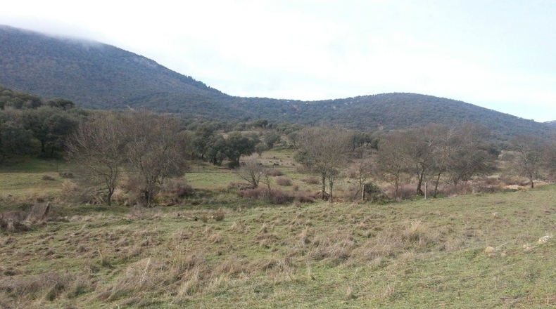Ciudad Real - Valdepeñas - 1000m2