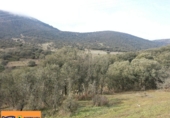 Casa de camp amb terreny en venda a Valdepeñas ref.: TR385688 foto