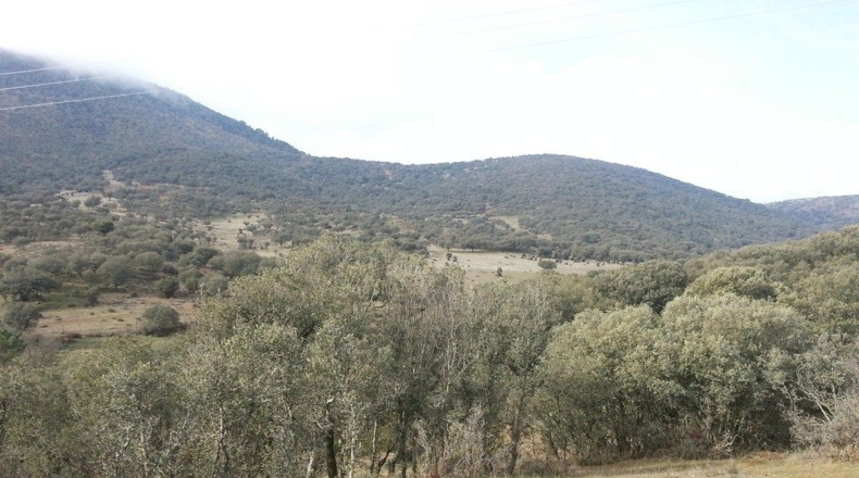 Ciudad Real - Valdepeñas - 1000m2