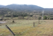 Casa de camp amb terreny en venda a Valdepeñas ref.: TR385688 foto