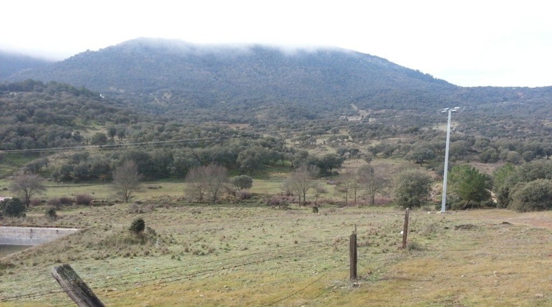 Ciudad Real - Valdepeñas - 1000m2