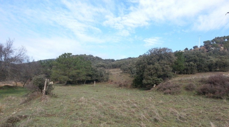 Ciudad Real - Valdepeñas - 1000m2