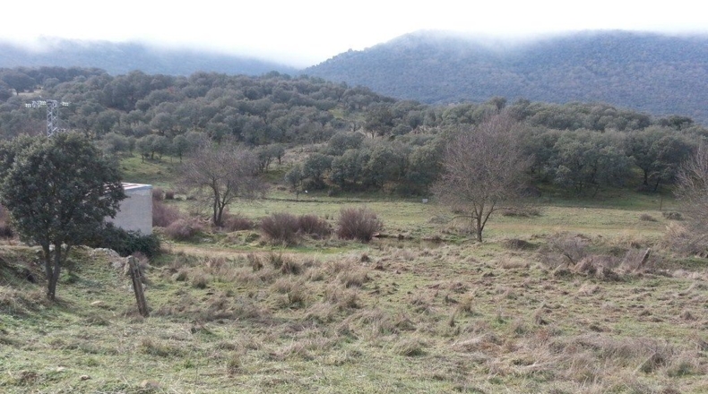 Ciudad Real - Valdepeñas - 1000m2
