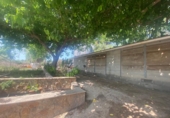 Industrial warehouse for sale in l'Ampolla ref: TR386311 photo