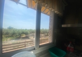 Industrial warehouse for sale in l'Ampolla ref: TR386311 photo