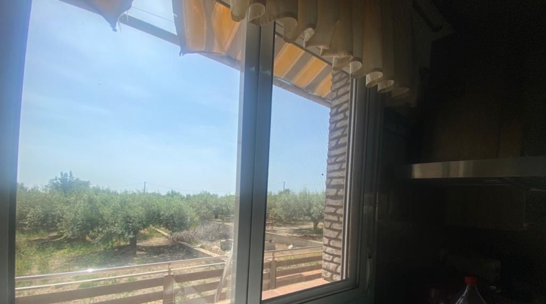 Ciudad Real - Alcázar de San Juan - 8195m2