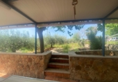 Industrial warehouse for sale in l'Ampolla ref: TR386311 photo