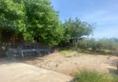 Industrial warehouse for sale in l'Ampolla ref: TR386311 photo