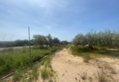 Industrial warehouse for sale in l'Ampolla ref: TR386311 photo