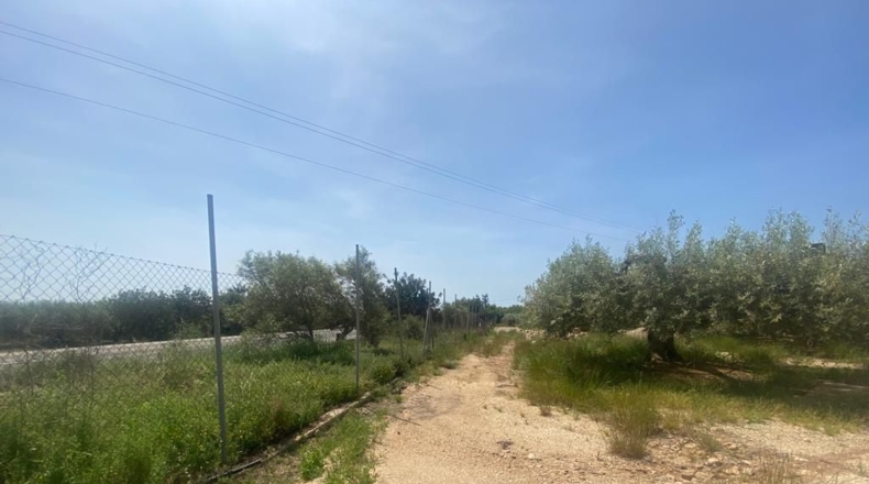 Ciudad Real - Alcázar de San Juan - 8195m2