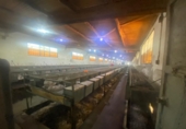 Industrial warehouse for sale in l'Ampolla ref: TR386311 photo