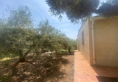 Industrial warehouse for sale in l'Ampolla ref: TR386311 photo