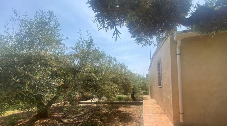 Ciudad Real - Alcázar de San Juan - 8195m2