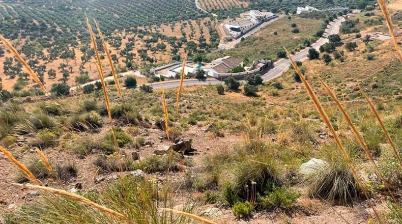 Málaga - Антекера - 8583m2