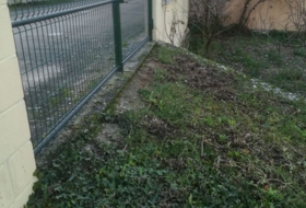 Foto 7
