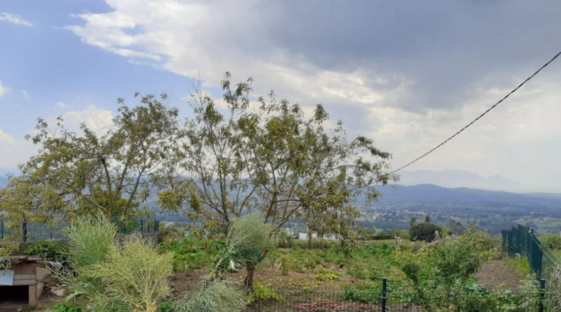 Astúries - San Pedro La Figarona - 1000m2