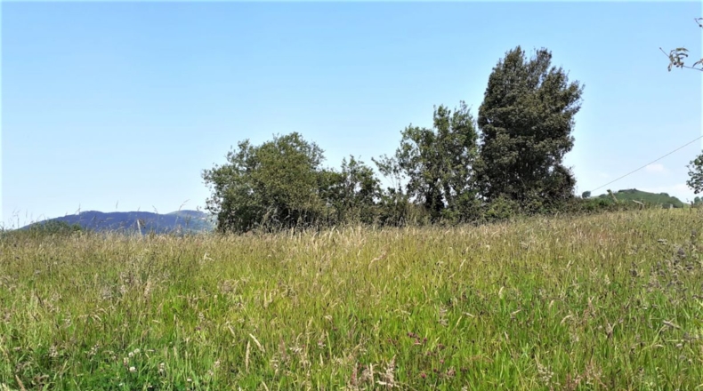 Astúries - San Pedro La Figarona - 1000m2