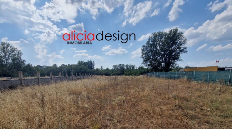 Leon - Almanza - 1500m2