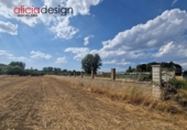 Land suitable for development for sale in Cabrera de Almanza ref: TR385509 photo