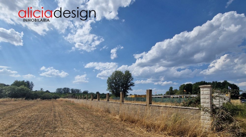 Leon - Almanza - 1500m2