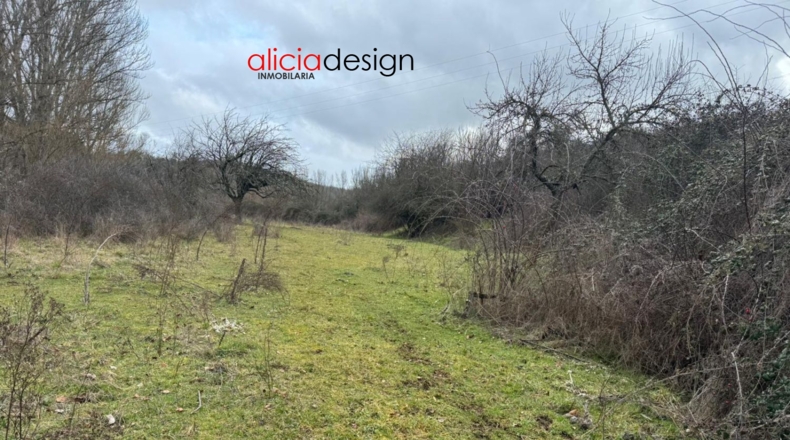 Leon - Almanza - 1500m2