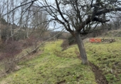 Land suitable for development for sale in Cabrera de Almanza ref: TR385509 photo