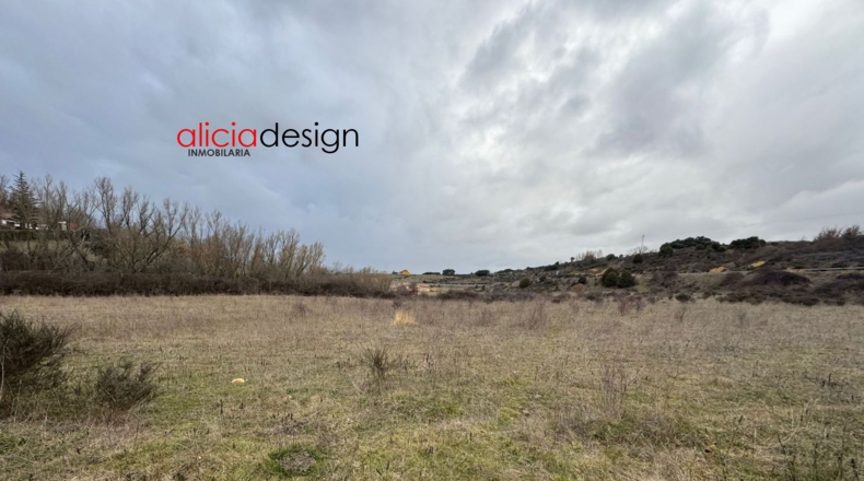 Leon - Almanza - 1500m2