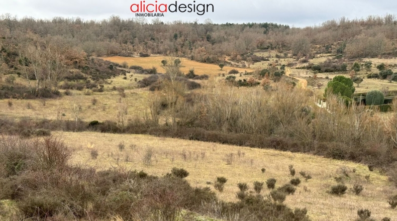 Leon - Almanza - 1500m2