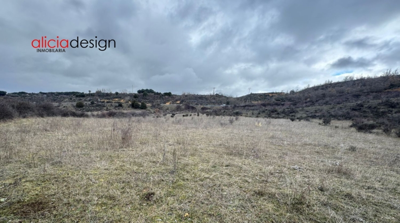 Leon - Almanza - 1500m2