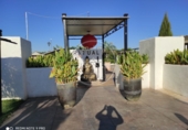 Non-developable land for sale in La Luisiana ref: TR385998 photo
