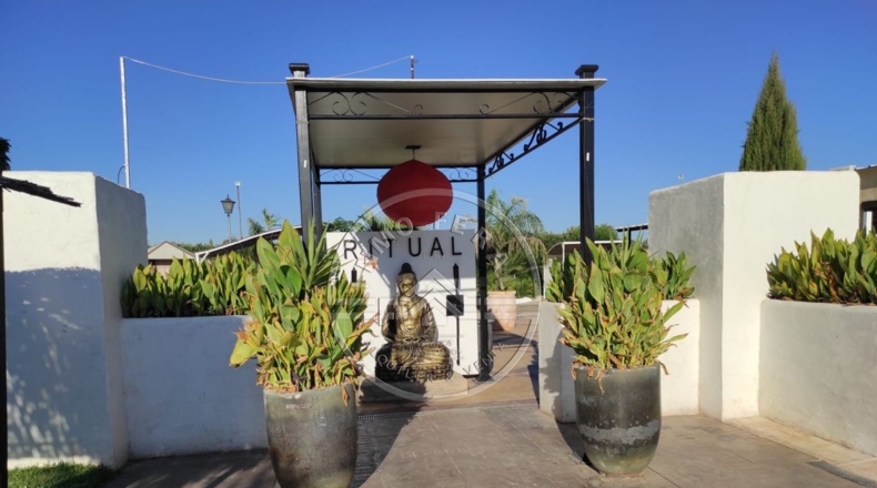 Sevilla - La Luisiana - 18000m2