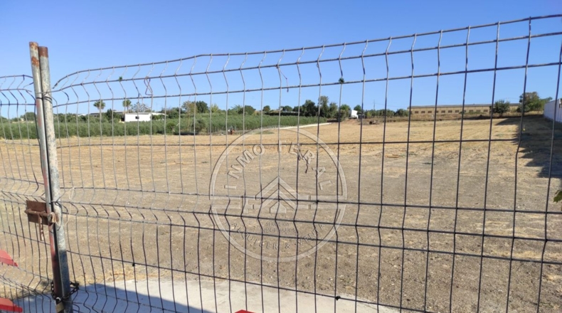 Sevilla - La Luisiana - 18000m2