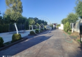 Non-developable land for sale in La Luisiana ref: TR385998 photo