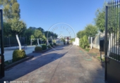Non-developable land for sale in La Luisiana ref: TR385998 photo