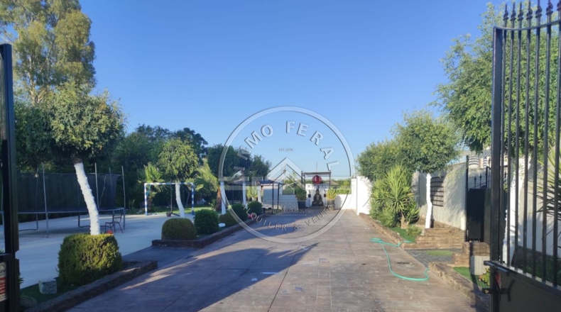 Sevilla - La Luisiana - 18000m2