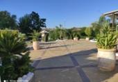 Non-developable land for sale in La Luisiana ref: TR385998 photo