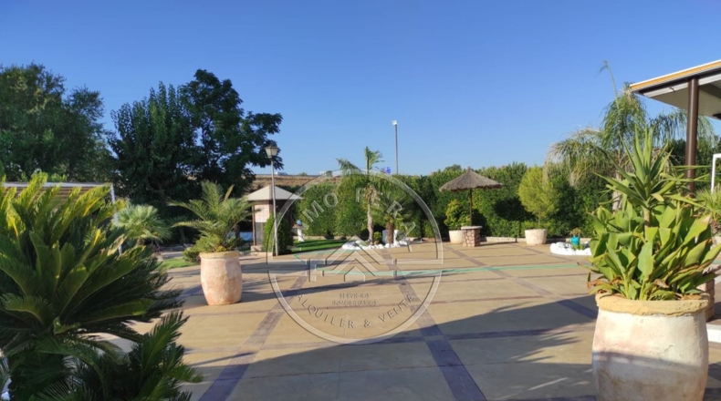 Sevilla - La Luisiana - 18000m2