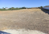 Non-developable land for sale in La Luisiana ref: TR385998 photo