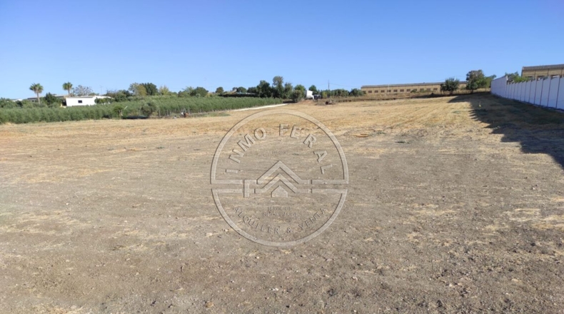 Sevilla - La Luisiana - 18000m2